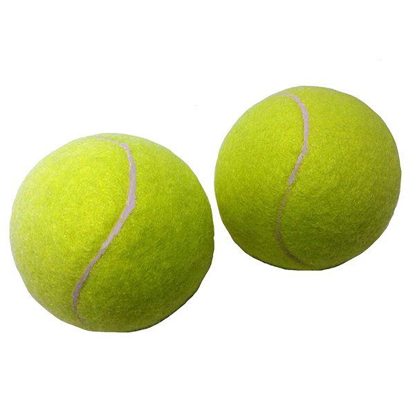 （まとめ）硬式テニスボール 2P〔×2個セット〕