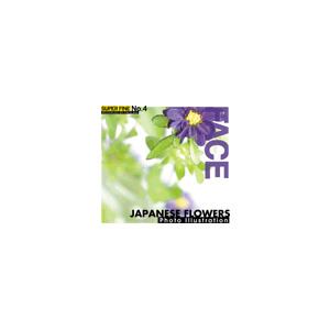 写真素材 SUPER FINE No.4 JAPANESE FLOWERS （日本の花）