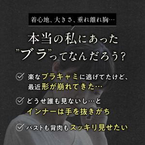 ノンワイヤーブラ エレガント 4枚 2枚 単品...の詳細画像5