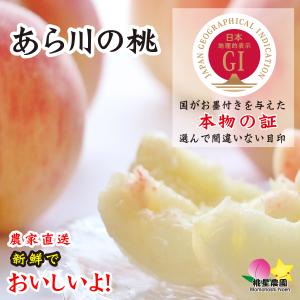 桃　もも　送料無料　モモ あらかわの桃 川中島白桃　４kg箱　訳あり 　農家直送　産地直送　おいしいあら川の桃　桃星農園