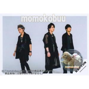 KAT-TUN 公式生写真 （集合写真）KA00156｜momokobuu