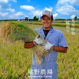 ゆめぴりか 5kg 新米 29年産 2017 北海道米 特A 皇室献上米 生産者農家直送 お中元ギフト :yumepirika-5kgn