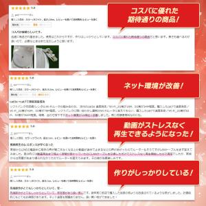 LANケーブル CAT7 0.2m 0.3m ...の詳細画像3