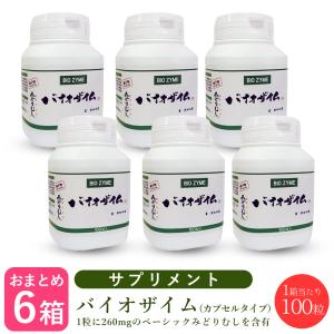 11-1（ いちいちのいち ） 60g （ 2g × 30包 殺菌乳酸菌及びグァーガム