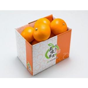 パール柑 熊本産 訳あり 20kg ［10kg×2箱］ 送料無料 九州 熊本