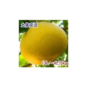 送料無料 紅まどか キズ有り サイズお任せ 約4.5kg 3〜6玉 長崎 長崎県