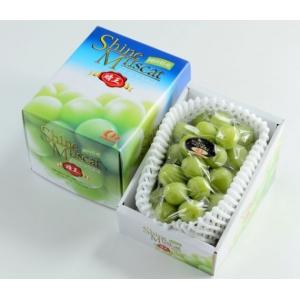 「産直品」ぶどう シャインマスカット晴王 【特秀】 1房(900g) 「岡山県産」JA全農おかやま【送料無料※北海道・沖縄別途￥1500】