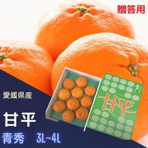 愛媛県産 甘平（かんぺい）秀品 3L〜4Lサイズ（8〜10玉）約3kg（化粧箱