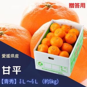みかん 甘平 【青秀】 3L〜5L 約5kg JAえひめオリジナル品種