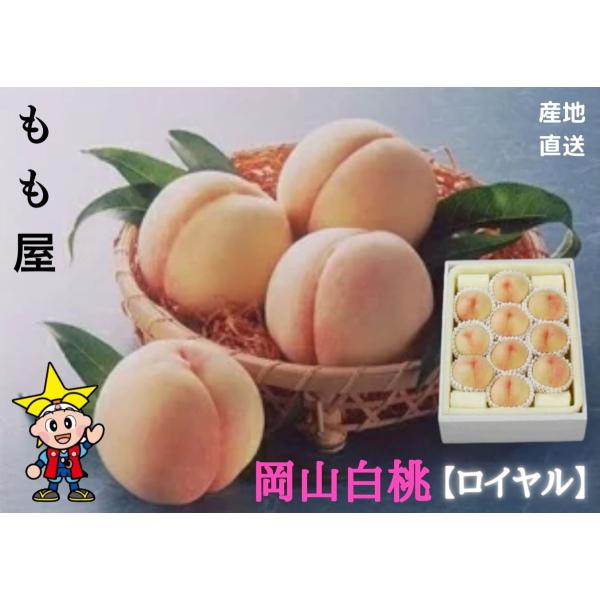 産直品　お中元2024【送料無料】岡山白桃 【ロイヤル】 9〜12個 (約2.7kg) 糖度12度以...