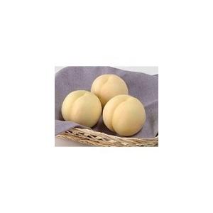 岡山県産おかやま夢白桃 ロイヤル 6個入り ☆予約販売☆産直品 岡山県産 おかやま夢白桃 【ロイヤル】 6個〜8個