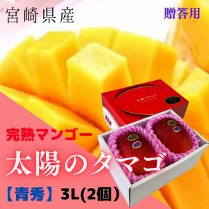 予約販売！完熟マンゴー【太陽のタマゴ】 赤秀 3L(約450g以上×2個