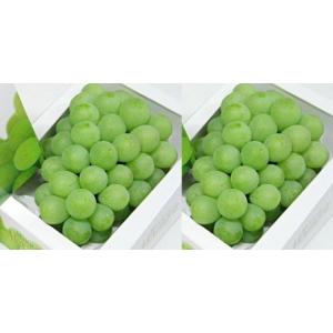 ★予約販売★発送は6月上旬から！ぶどう マスカットオブアレキサンドリア 【特秀】 700g×2房【送料無料※但し北海道沖縄・別途1500円】