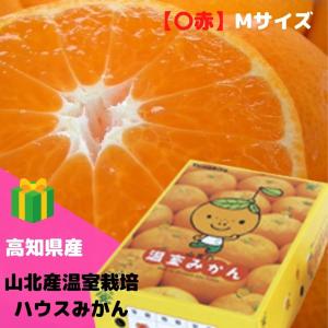 発送は５月中旬から！みかん 山北産温室栽培ハウスみかん【〇赤】M(約2.5kg) 高知県 甘さ抜群！｜momoya