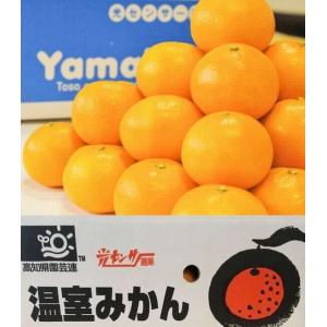 みかん 山北産温室栽培ハウスみかん【緑秀】M(5kg) 高知県 甘さ抜群！【送料無料※但し　北海道沖縄・別途1500円】