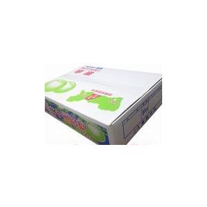 梨 二十世紀梨【青秀】約5kg(2L・16個入り) JA鳥取