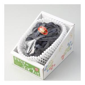 【産直品】ぶどう「岡山県産」ニューピオーネ ・ 1房(700g)【送料無料※但し　北海道沖縄・別途1500円】