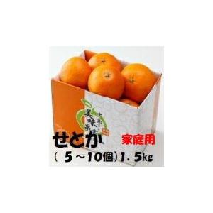 ふるさと納税 八幡浜市 「夕やけブランド」柑橘の大トロ!【せ ふるさと納税 八幡浜市 「夕やけブランド」柑橘の大トロ!【せ