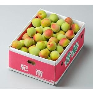 紀州 南高梅 【秀品】 Lサイズ 約5kg 和歌山県産※梅の箱が写真と異なる事があります【送料無料※但し北海道・沖縄　別途￥１５００】