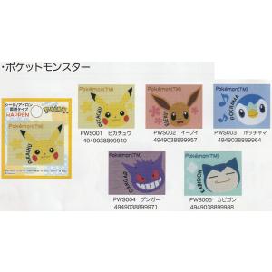 ポケットモンスター　織りシールワッペン　シールアイロン両用接着