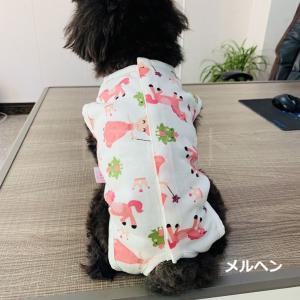 【ロングセラー商品再入荷!6/14】楽しい絵柄...の詳細画像2