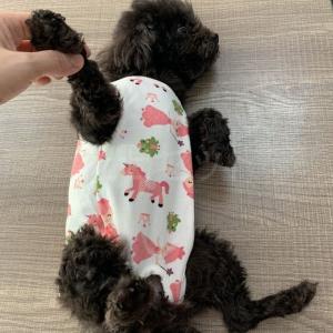 【ロングセラー商品再入荷!6/14】楽しい絵柄...の詳細画像5
