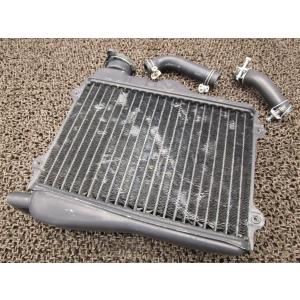 RZ250/350用 ラジエターカバー ステンレス製 【ゼス】 : ミズノ