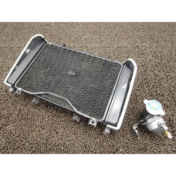 ZRX1100 ラジエター ガード □R3！ZRT10C カワサキ 【 ZXT10CE 】 キャブ車