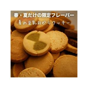 【訳あり品】クッキー 訳あり 蒲屋忠兵衛商店 夏...の商品画像