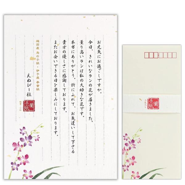 レターセット【便箋 18枚 和紙 2色アソート B5 縦書き封筒 6枚 長形4号封筒】伝えるきもちB...