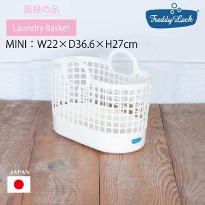 モデーア ランドリーディタージェント 960ml 2本セット 洗濯用液体洗剤