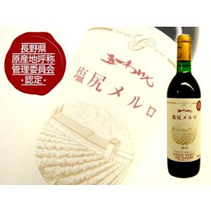 五一ワイン　GI長野認定　塩尻メルロー　2023