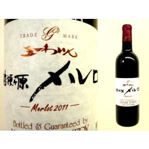 五一ワイン　桔梗ケ原メルロ　2018