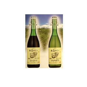 アルケミエ 辰巳祥平 スピリッツ BOTANICAL 500ml 47度（岐阜県