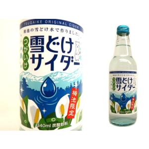 長野 ご当地サイダーの商品一覧 通販 Yahoo ショッピング