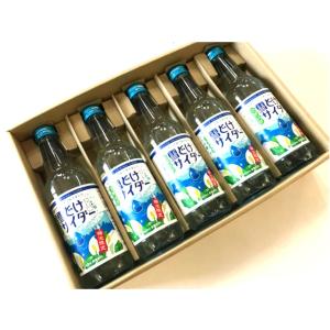 【ご当地】つがいけ雪どけサイダー　5本セット