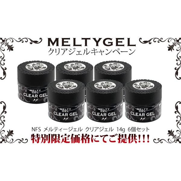 ＮＦＳ　ＭＥＬＴＹ　ＧＥＬ(メルティージェル)　クリアジェル　(１４ｇ) ６個セット