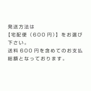 追加お支払専用(計1,500円用)