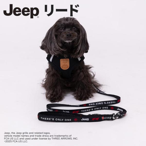 JEEPリード 犬用 散歩 小型犬 中型犬 犬用リード