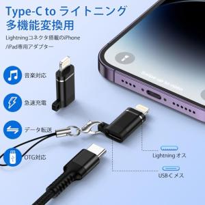 GAEF Type C to ライトニング 変...の詳細画像1