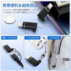 GAEF Type C to ライトニング 変...の詳細画像4