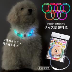 光る首輪 お散歩ピカピカ LEDライト フリーサイズ