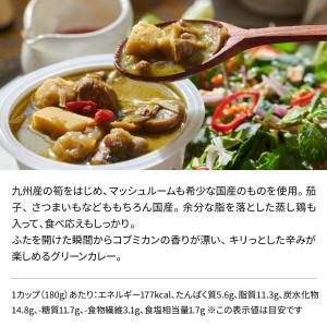 残暑御見舞 夏ギフト 2026 ギフト カレー...の詳細画像5