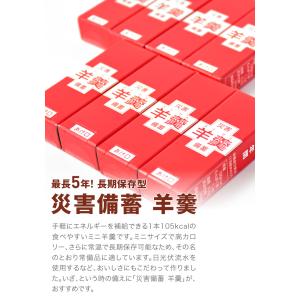 災害備蓄 羊羹 8個 (簡易包装) | 長期保...の詳細画像1