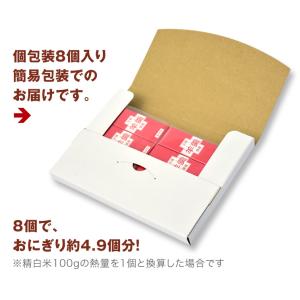 災害備蓄 羊羹 8個 (簡易包装) | 長期保...の詳細画像3
