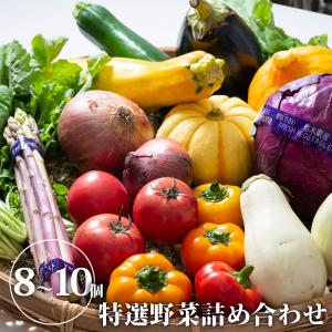 【送料無料】【クーポン利用で30％OFF】農産直売所あぜみち 特選野菜詰め合わせ 旬野菜 夏野菜 季節の野菜 詰め合わせ セット 国産 栃木県産【TSM】