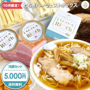 【送料無料】【クーポン利用で30％OFF】ハーヴェストボックス（10月限定 冷蔵セット）｜食品 グルメ 福袋 復袋 お取り寄せ（とちぎSmileマルシェ）【TSM】