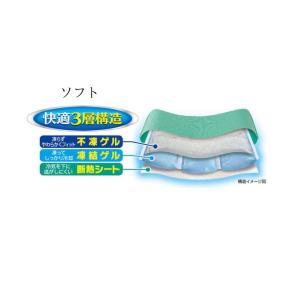 アイスノンソフト1個 白元アース 長持ち 保冷...の詳細画像1