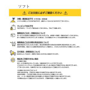 アイスノンソフト1個 白元アース 長持ち 保冷...の詳細画像3