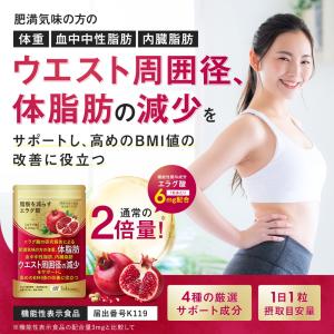ダイエットサプリ エラグ酸 通常の2倍量 肥満...の詳細画像1